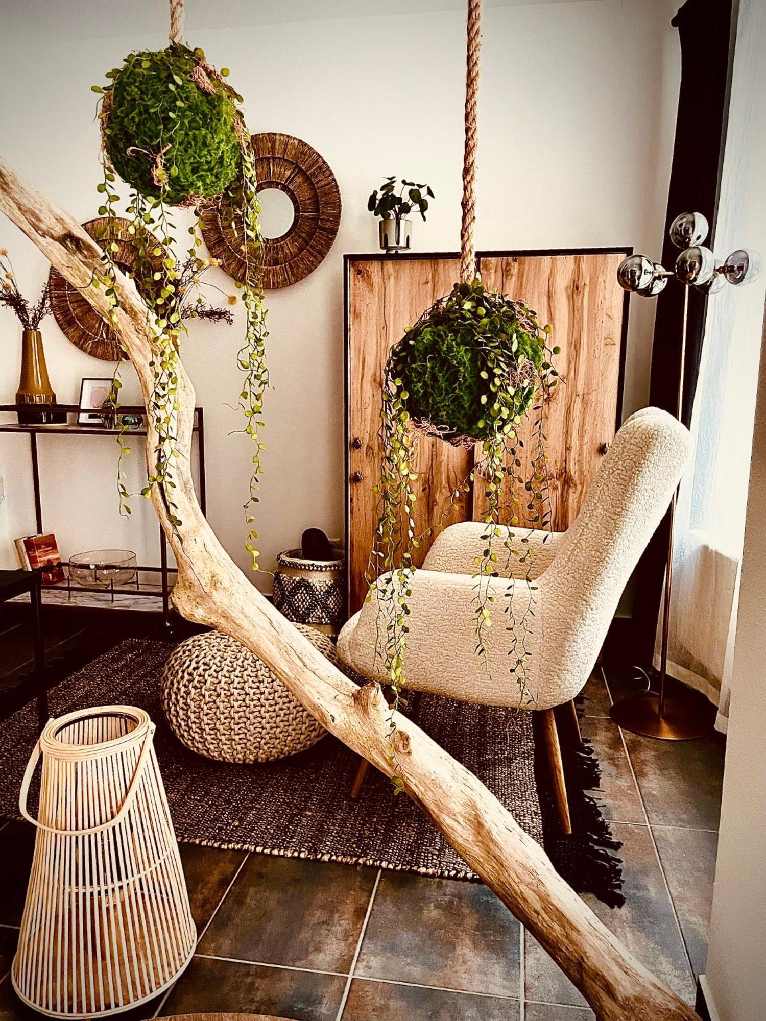 Apartment Lieblingsnest *